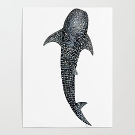 Whale shark for divers, shark lovers and fishermen Poster