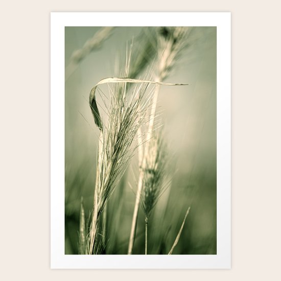 Richtung's Weisend Art Print
