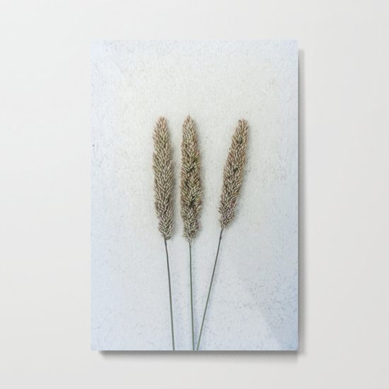 Summer Grass Metal Print
