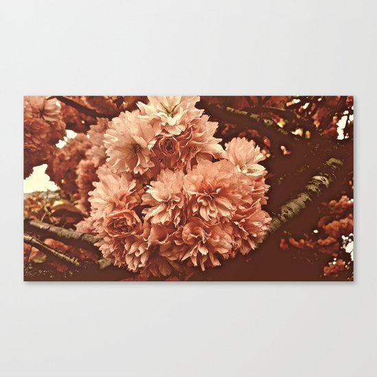 Vintage Ornamental Plum Blossoms Canvas Print