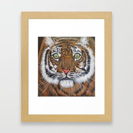 Siberian Tiger Stare Down Face Framed Art Print