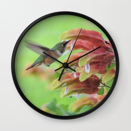 Hummingbird in Justicia Wall Clock