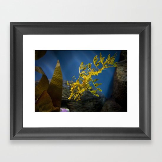 Seahorse Framed Art Print