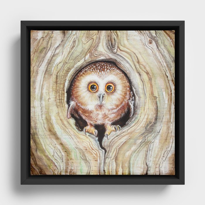 Owly Framed Canvas