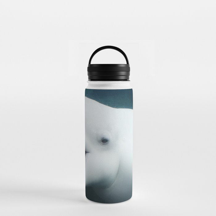 Insulated Water Bottle Double Wall Keep Cold - beluga