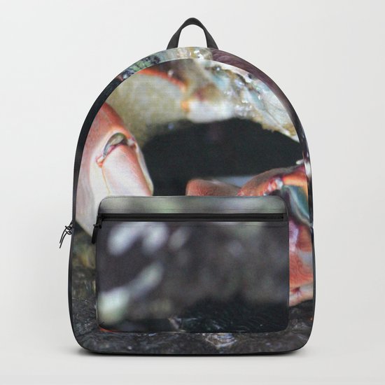 Hiding Backpack