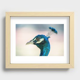 Peacock head against bright background Recessed Framed Print