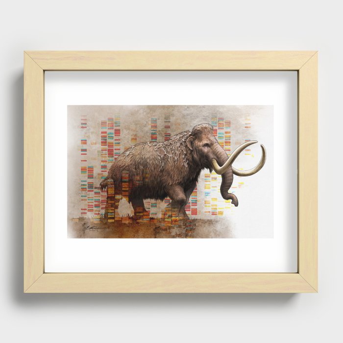 Mammoth DNA Recessed Framed Print