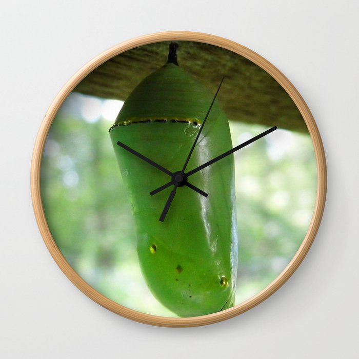 Monarch Butterfly Chrysalis Wall Clock