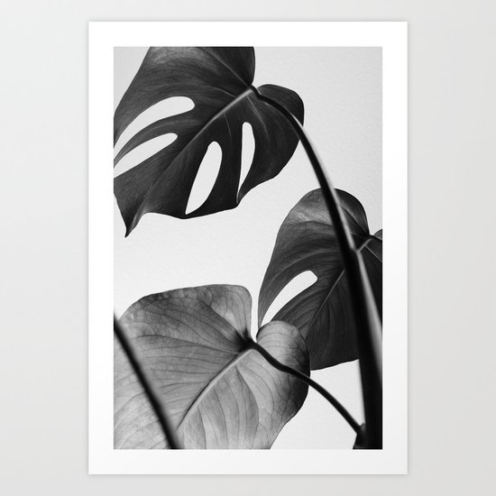 Black & white Monstera Art Print