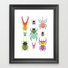 Beetles Illustration Framed Art Print