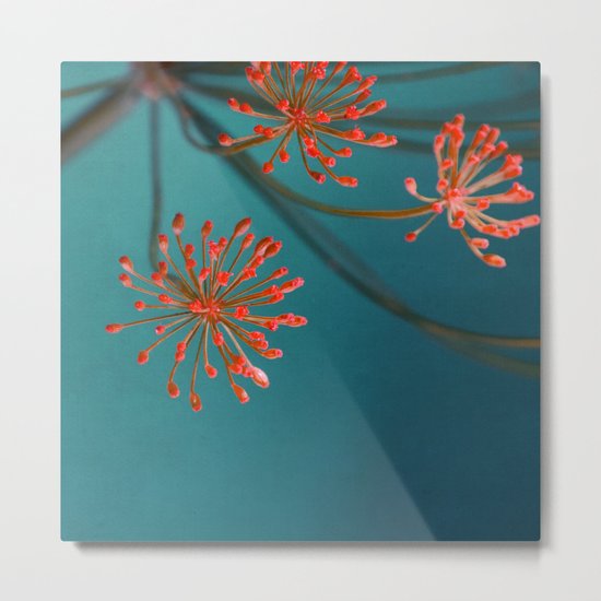 aneto IV Metal Print