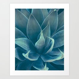 Blue Agave Desert Photo Art Print