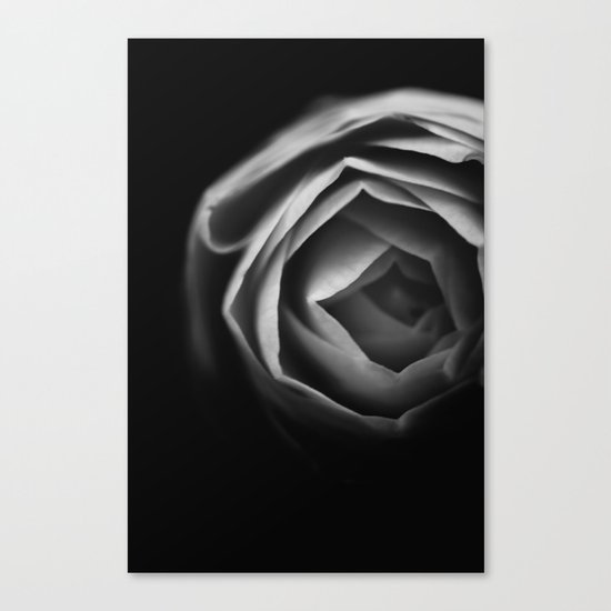 Pfingstrose Canvas Print