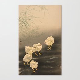 Chicks and a Worm, 1900 by Ohara Koson Canvas Print