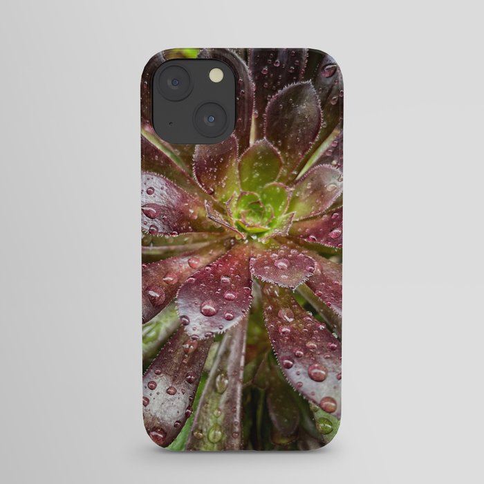 Raindrops  iPhone Case