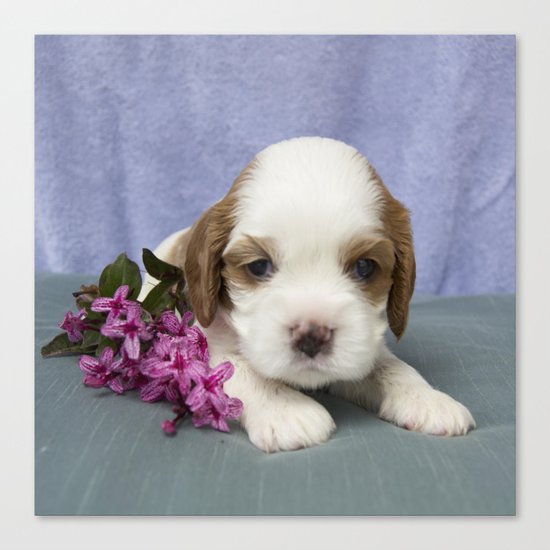 Puppy with flowers Canvas Print