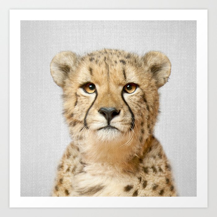 Cheetah - Colorful Kunstdrucke Cheetah - Colorful Kunstdrucke