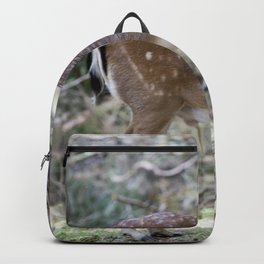 Reindeer calf in the forest Backpack | Illustration, Veal, Forester, Artprint, Calf, Decor, Old, Caribou, Calfskin, Poster 
