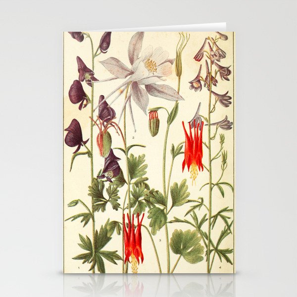 Wildflowers from "Rocky Mountain Flowers" (1914) by Edith Clements (benefitting The Nature Conservancy) Stationery Cards