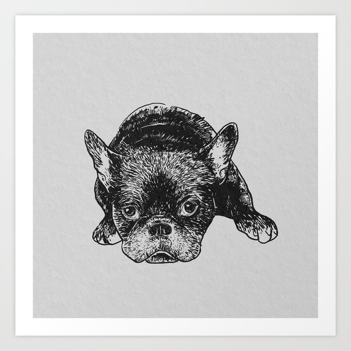 Brindle French Bulldog Ink Drawing Art Art Print
