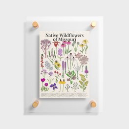 Native Missouri Wildflowers Floating Acrylic Print