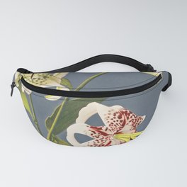 Lilies collotype from Japan Described and Illustrated by the Japanese (1897) by Kazumasa Ogawa Fanny Pack | Painting, Frame, Decor, Wallart, Illustration, Anabasis, Tycoon, Meijirestoration, Treatyport, Vintage 