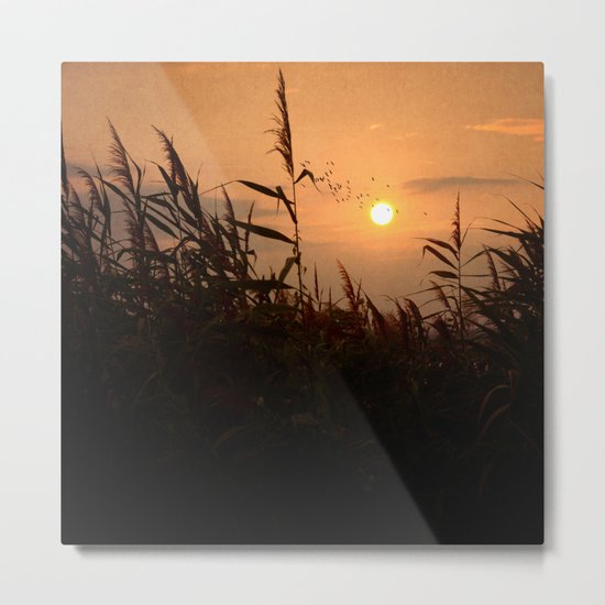 Last Flight of the Day Metal Print