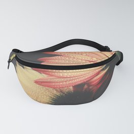 Flower Photography - Gerbera Daisies - Yellow Orange Foral Photography Fanny Pack