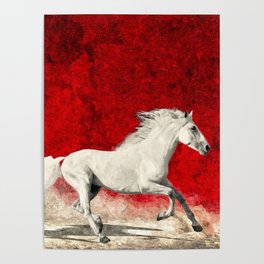 A brave white horse Poster