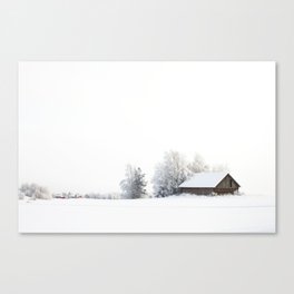 Winter wonderland Canvas Print