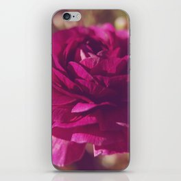 Crimson Rose iPhone Skin