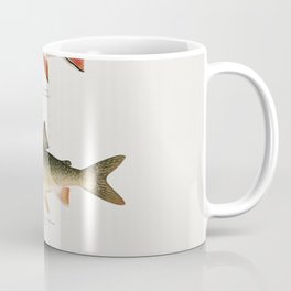 Illustrated North American Freshwater Trout Game Fish Identification Chart Coffee Mug