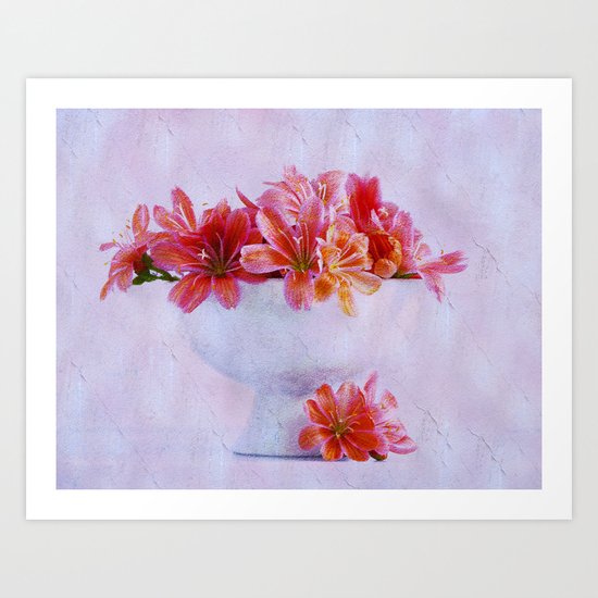 Lewisia Art Print