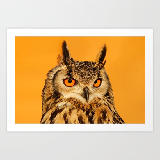 Bubo bubo Art Print