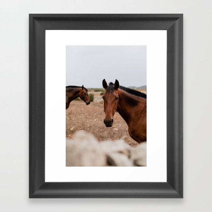 Menorquín horse // Cavall Menorquí Framed Art Print