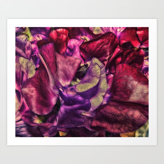 A Vivid Tapestry of Sweetpeas Art Print