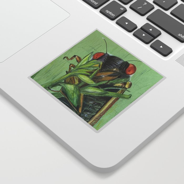 Ohio Cicada  Sticker
