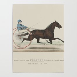 Historic Horse Illustration  Poster