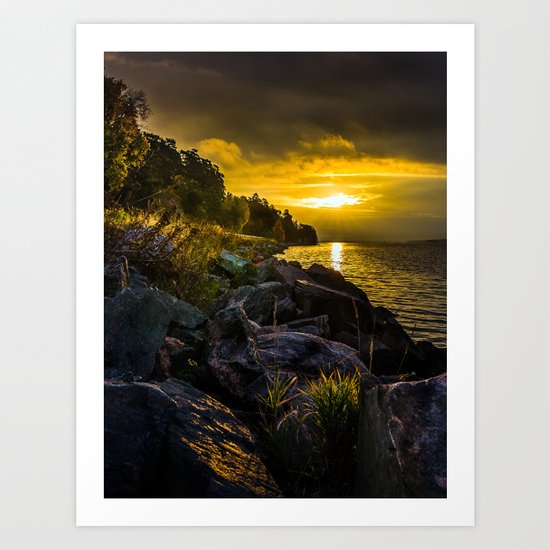 Morning Gold II Art Print