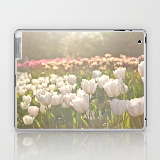 Tulips sunbathed Laptop & iPad Skin