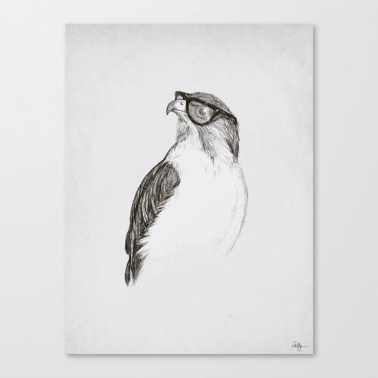 Hawk with Poor Eyesight Canvas Print