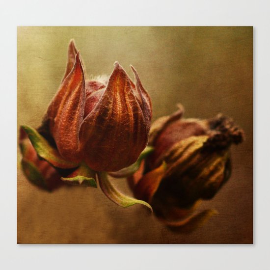 Autumn glow Canvas Print