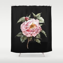 Wilting Pink Rose Watercolor on Charcoal Black Shower Curtain