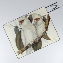 Long-billed Cockatoo (Licmetis nasicus) illustrated by Elizabeth Gould (1804-1841) for John Goulds (1804-1881) Birds of Australia (1972 Edition 8 volumes) Picnic Blanket
