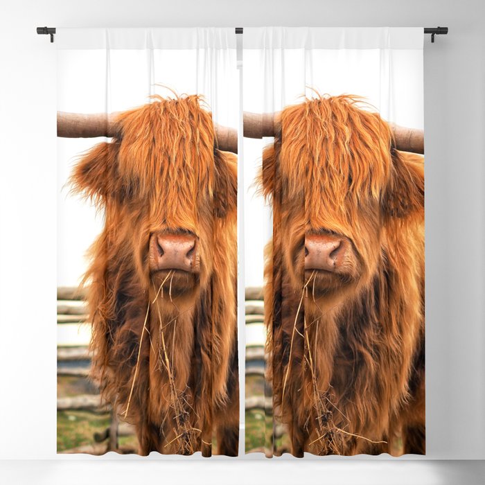 Blackout Curtain