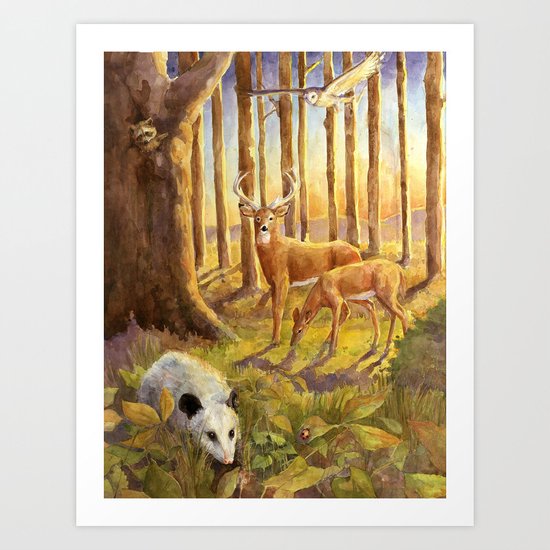 Forest Scene Art Print