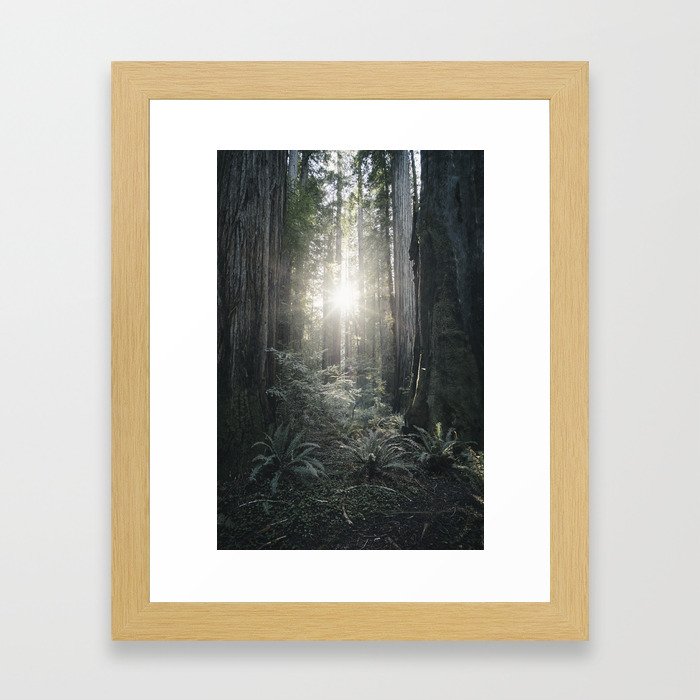 ferns and forest flare Framed Art Print