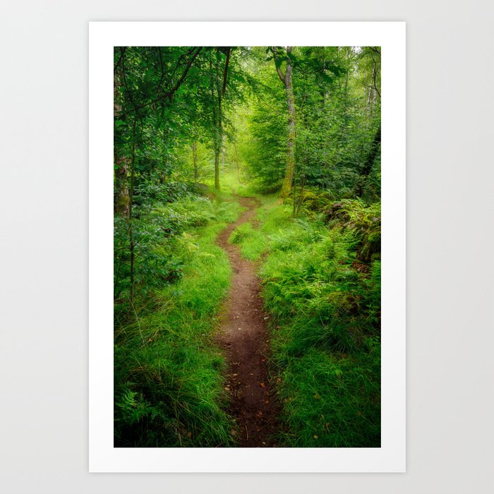 Vibrant Green Forest Path Art Print