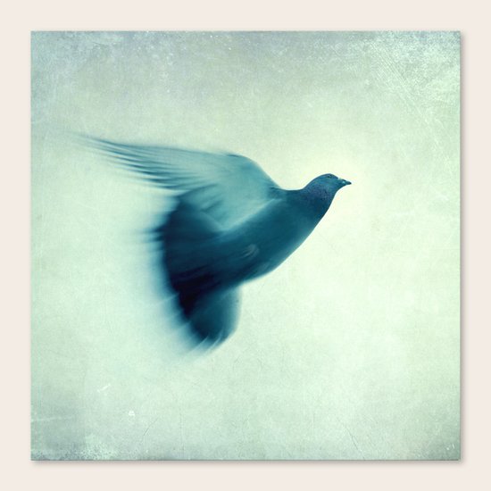 liberty Canvas Print